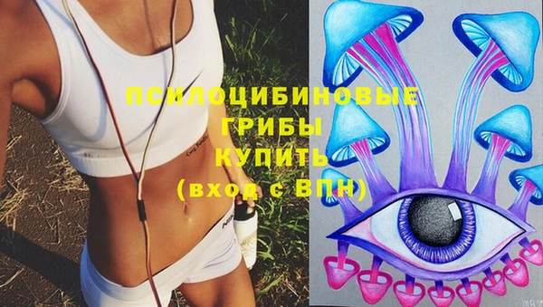 хмурый Горняк