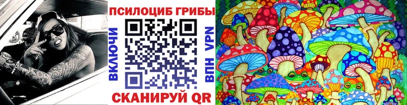 Псилоцибиновые грибы Psilocybe  Курск 