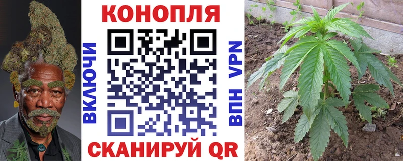Марихуана марихуана  Курск 